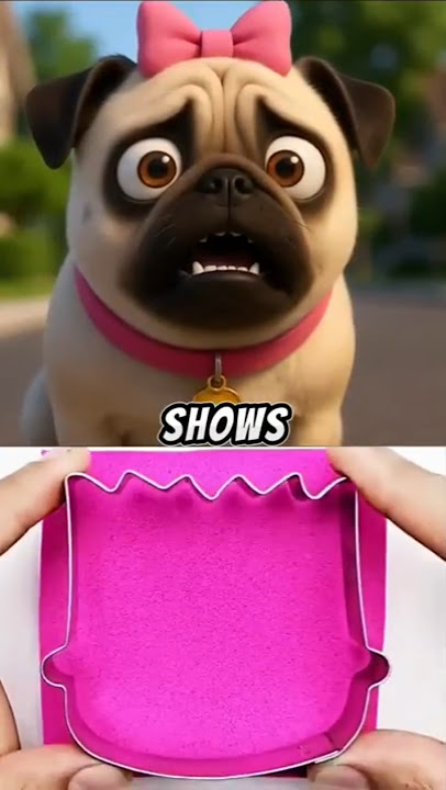 Be Careful What You Say, Son!🐶😱🤫#dog #cute #pug #pets #dogs #funny #humor #viralshort