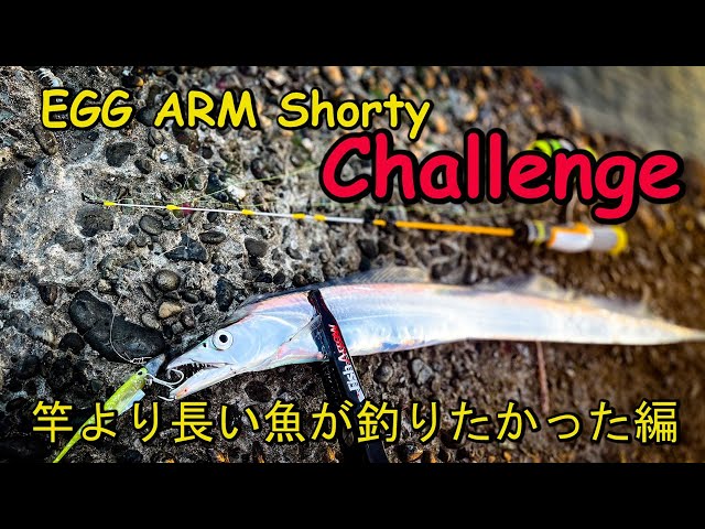 エッグアーム ショーティー】竿より長い魚が釣りたかった。 - YouTube