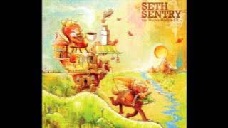 Seth Sentry - Train Catcher