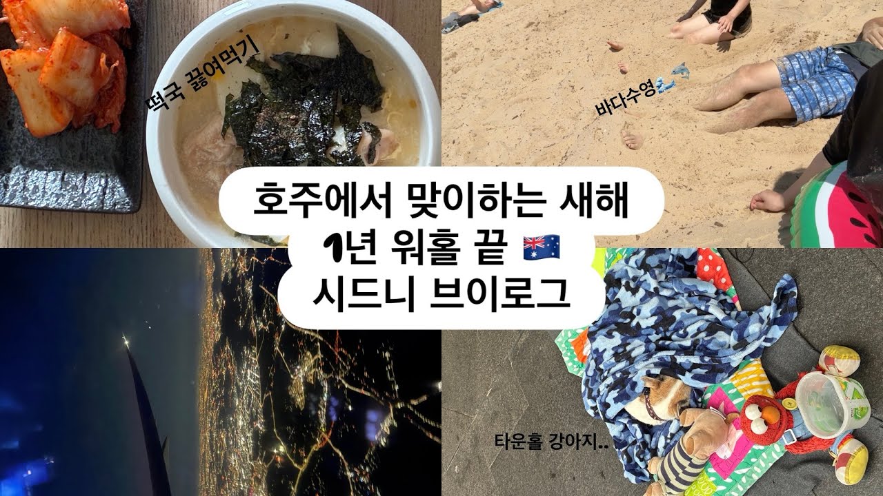 시드니 연말 브이로그 | 호주 워홀 | 호주에서 홀리데이 보내기🤩 EP.3