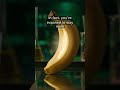 Did You Know - Your everyday banana is slightly radioactive?