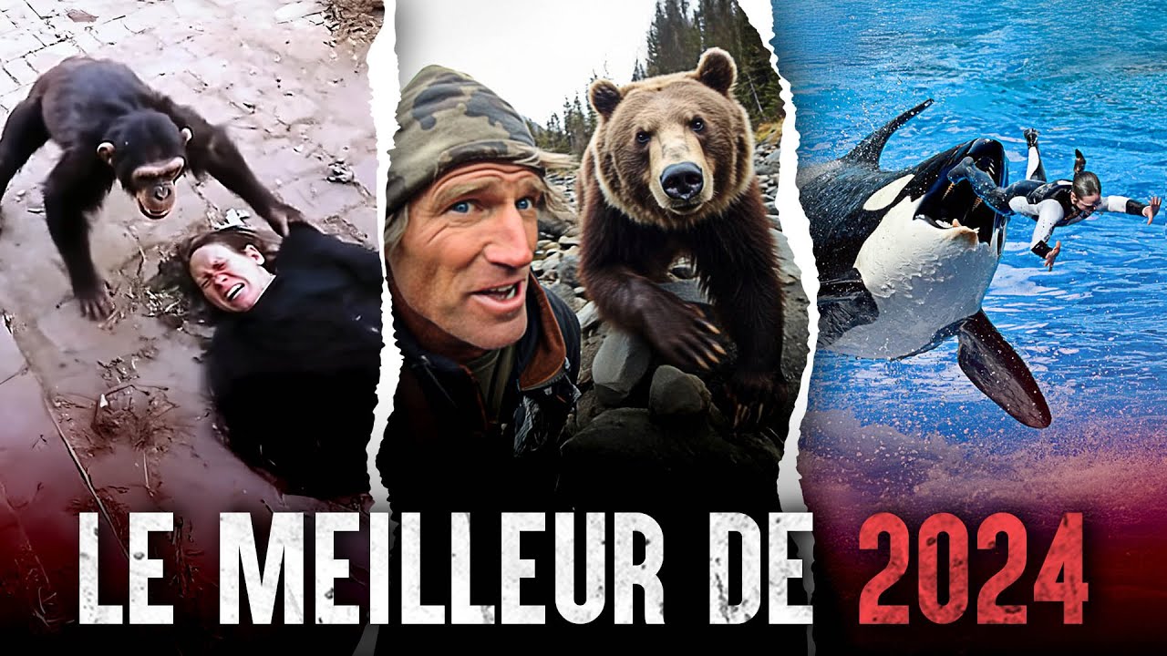 Tout ce à quoi vous avez survécu en 2024