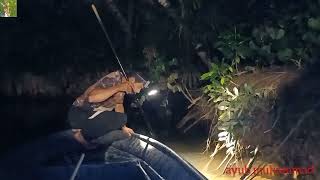 Download Lagu cara tradisinal menombak udang galah dimalam hari hasil melimpah#307 MP3