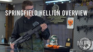 Springfield Hellion overview