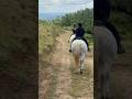 9 de 9. Lo de fuera #paseoacaballo #horsebackriding #sierradegredos #ecotourism #cabezabellosa