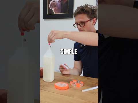i made cheese out of mr beast's dna