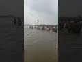 دنیا کا انوکھا جلوس عزا رگوں میں اتنی رچ بس چکی ہے کہ گولیوں کی بوچھاڑ ہو یا سیلاب کے اندھے ریلے