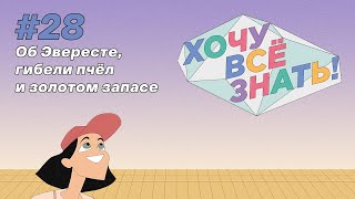 Киножурнал - Хочу всё знать (28 серия) - Об Эвересте, гибели пчёл и золотом запасе