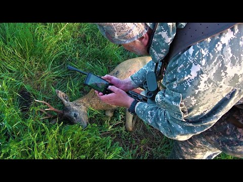 Видео: ОХОТА НА КОСУЛЮ С ПОДХОДА, УДАЧНЫЕ ВЫСТРЕЛЫ в кадре