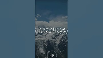 #ياسر_الدوسري #سورة_الشعراء #تلاوة_خاشعة