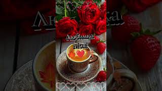 с добрым утречком #пожеланиядля #доброеутро #чудесногодня