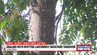 First Alert Weather: Extra - Aug. 25