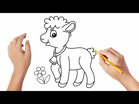 Vídeo: Como Desenhar Um Cordeiro