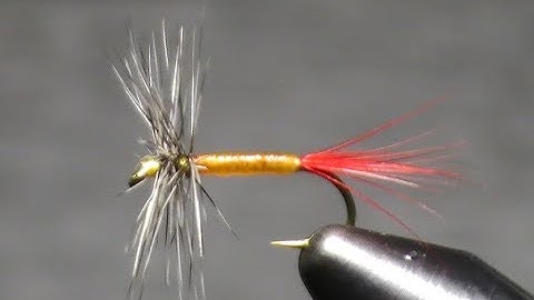 Gray Hackle Yellow