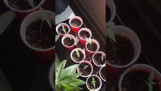 Youtube Shoutout To The Fireblazer Check Him Out On His Youtube
