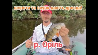 Спінінгова рибалка з човна в Полтавській обл. річка Оріль. Щупаки та окуня дають міцного дрозда.