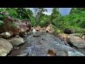 Relieve Stress And Sleep With Calming Water Sounds Flowing Between Majestic Forest Rocks 