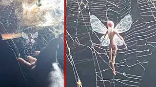 Criaturas Míticas Capturadas Vivas Pelas Câmeras
