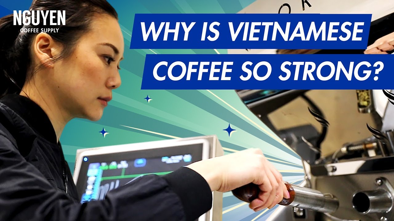 Why Is Vietnamese Coffee So Strong? | The Ultimate Guide To Vietnamese Coffee | Nguyen Coffee Supply