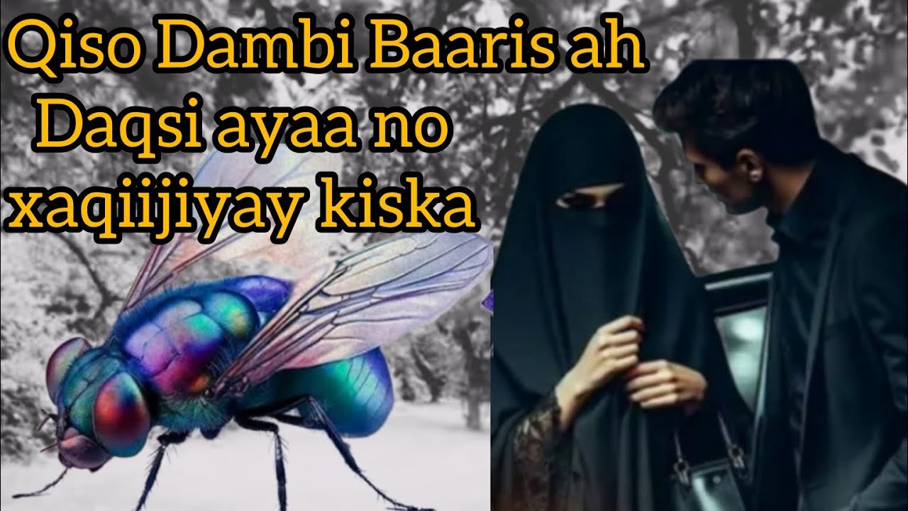#qisada bastaad waa dambi baaris waxaa kiiska noo xaliyay daqsi @Hafsabilanqis