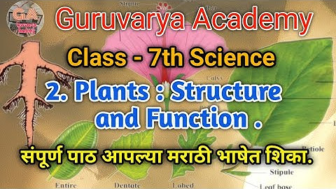 2 Plants Structure and Function class 7 science ( English and semi. Medium ) Maharashtra state board
