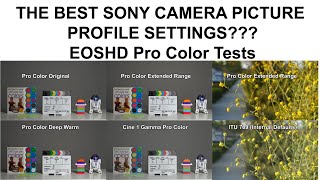 Have I Found the BEST Sony Picture Profile Settings? - EOS HD Pro Color Test