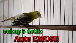 Dalam hitungan Detik,Sirtu manapun auto langsung ikut EMOSI.