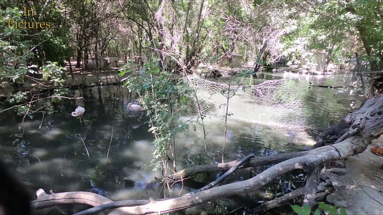 افغانستان: باغ وحش کابل / Afghanistan: Kabul Zoo