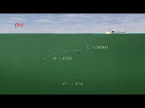 Offshore Tackle Tadpole Depth Chart