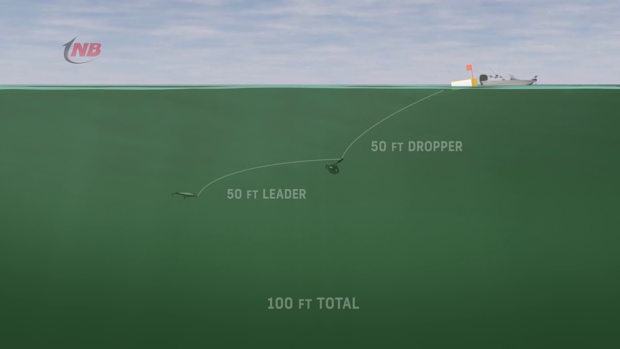 32 Copper Line Dive Chart