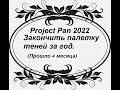 Project Pan 2022. Закончить палетку за год. Прошло 4 месяца.