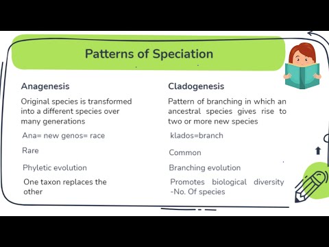 Vídeo: Quina diferència hi ha entre la microevolució i la macroevolució Quins són alguns exemples de cadascuna?