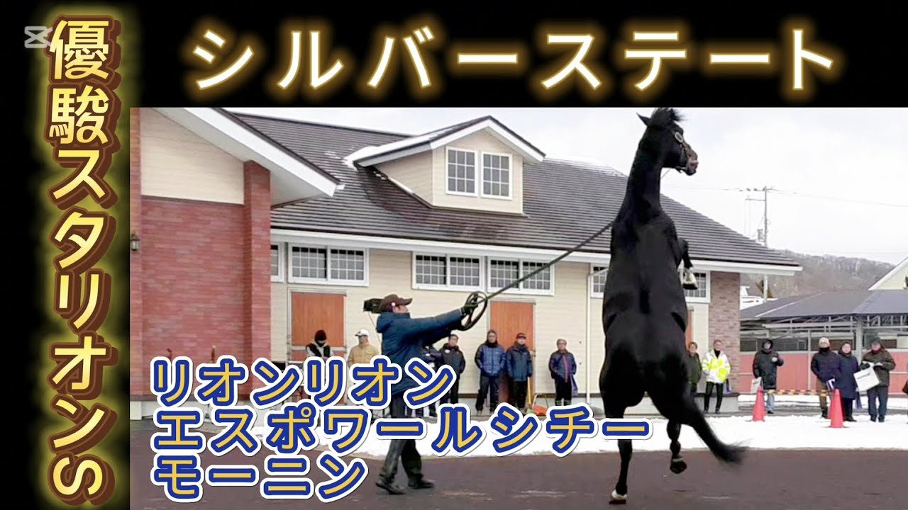 リオンリオン エスポワールシチー モーニン シルバーステート 優駿