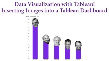 Data Visualization with Tableau! Inserting Images into a Tableau Dashboard