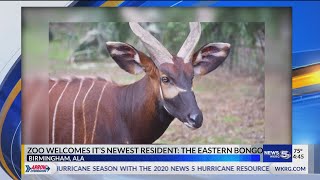 What's trending WKRG.com: Nov. 6