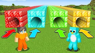 IF YOU CHOOSE THE WRONG TUNNEL, YOU DIE!  Minecraft