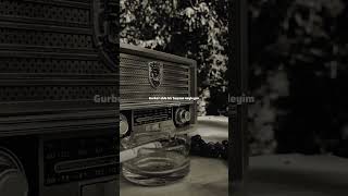 Özdemir Erdoğan Gurbet Türkçe Resimi