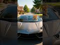 cat and 🥰lamborghini #car.