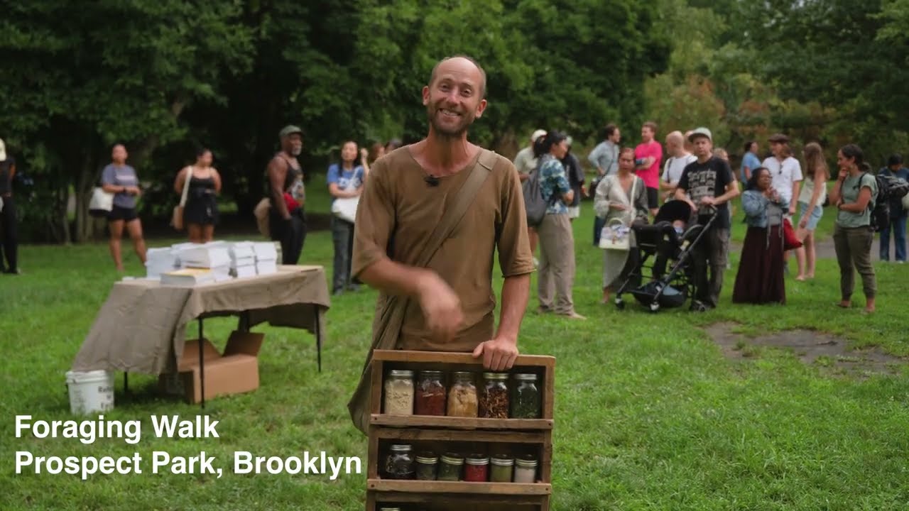 Thumbnail for Foraging for Beginners in New York City - Prospect Park, Brooklyn Foraging Walk