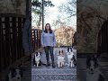 Dog Training in Charlottesville, VA with Ridgeside K9 Charlottesville