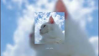 Meri Banogi Kya - Sped up