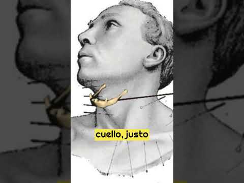 🦴🗣️¿Conoces el Hueso