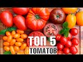 Топ 5 лучших томатов которые я сажаю каждый год ✔️ Советы от Хитсад ТВ