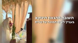 תשובה מהגאון הינוקא בעניין לשים תמונה על טלית