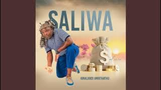 Saliwa - Amalandi Amathathu - New Maskandi 2025 Full Album | Maskandi 2025 Mix