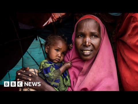 Unprecedented child deaths facing Somalia due to drought, UNICEF warns – BBC News