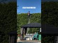 HUGE CEDAR TRANSFORMATION
