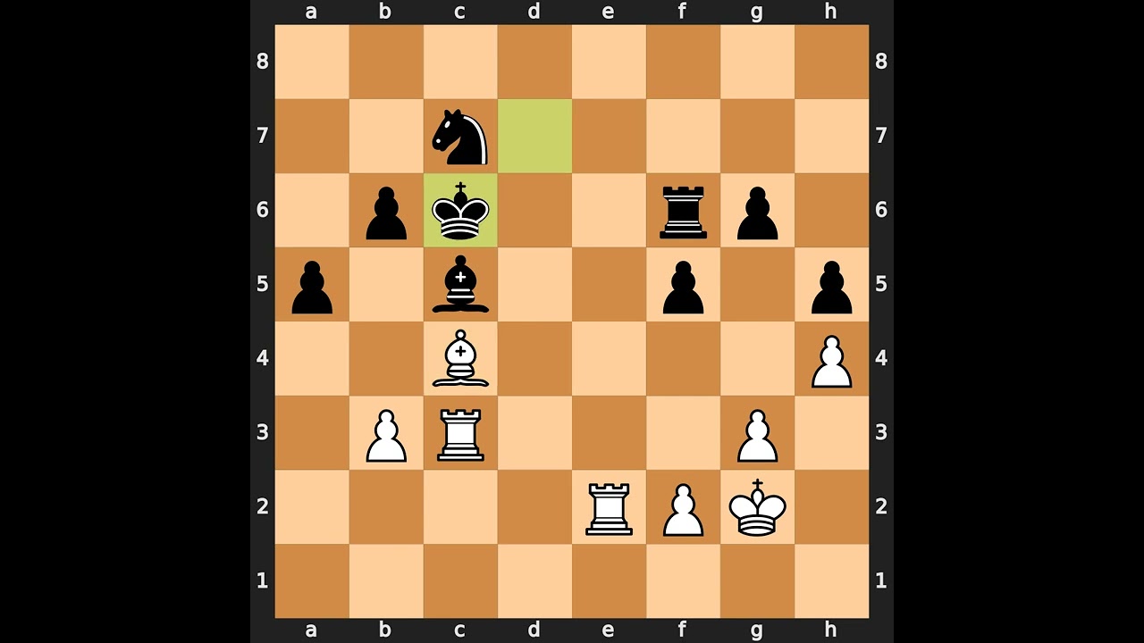 Predrag Nikolic-Viktor Kortschnoj, Tilburg 1987, Result: 1-0