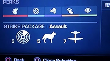 Best class setup-MK14 EBR call of duty ghosts