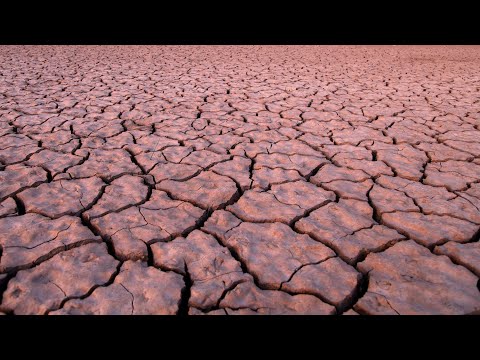 As the U.S. debates climate change, unprecedented drought ravages Arizona | U.S. midterm elections